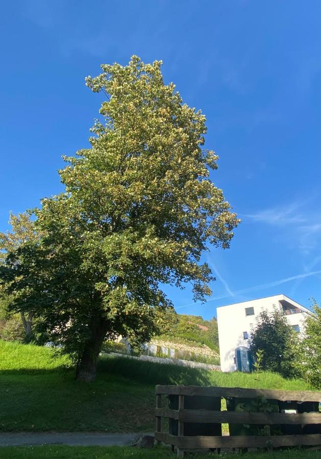 Zentral & Maritim Apartment Harzperle 3 Bad Harzburg Esterno foto